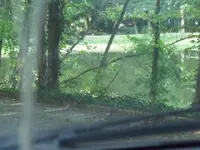 8242012 005.webp
