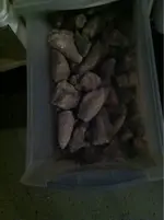 image-3946505936.webp