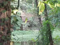 8242012 021.webp