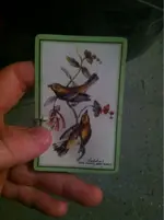 image-489581019.webp