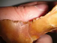 DSC01536.webp