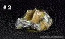 IMG_3576-001.webp