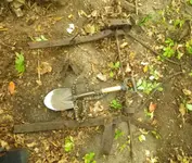 1IMGP8622.webp