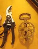 IMGP8644.webp