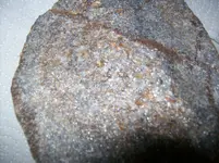 Rock 005.webp