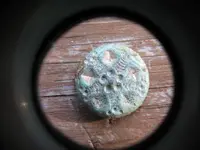 gilt_button (800x600).webp