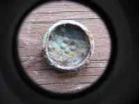 gilt_button_back (800x600).webp
