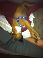 image-691462359.webp