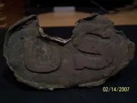shot us plate.webp