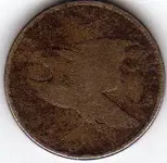 Flying Eagle 001.webp