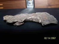 shot plate flat view.webp