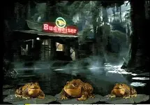 frogs.webp