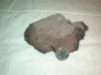 IM001084.webp