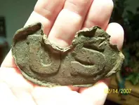 frt side us plate in my hand.webp