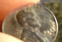 1944 d steel 006.webp
