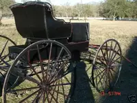 buggy.webp