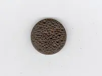 button.webp