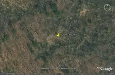 swamp2.webp
