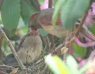 Family_4.webp