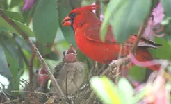 Family_5.webp
