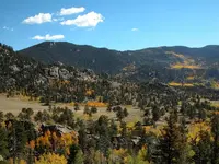 FALL.webp