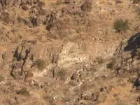 DSCN0121.webp
