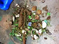 9-30-12 trash.webp