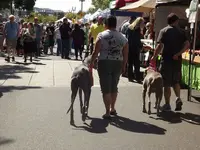 DSCF1664.webp