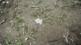 DSCF0200.webp