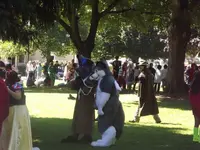 DSCF1831.webp