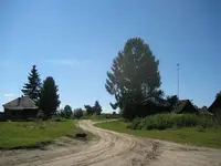 lthевенские.webp