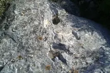 20120905566.webp