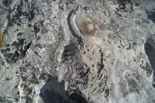 20120905572.webp