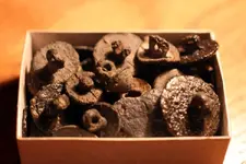 Pewter buttons 003.webp