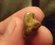 NuggetThing4.webp