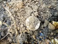 big silver #3.webp