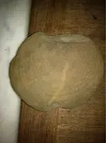 image-1740594406.webp