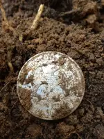 big silver #4.webp
