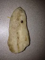 image-4156369885.webp