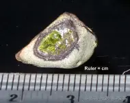 PurpleCircle-GreenSparklies1.webp