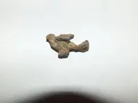 Unidentified 024.webp