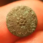 NH FINDS 09-18 094.webp