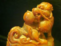 DSC01320.webp