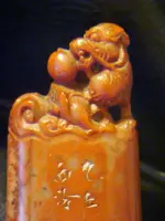 DSC01323.webp
