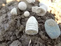 Metal Detecting 446.webp