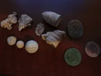Metal Detecting 450.webp
