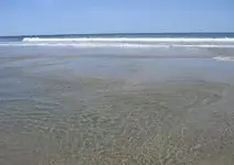 images1.webp