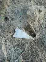 IMG-20121010-WA0005.webp