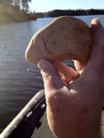 image-1401991862.webp