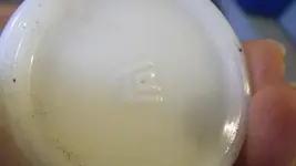 IMGP8680.webp